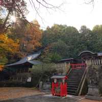 飛騨東照宮 紅葉スポットのご紹介