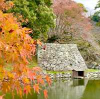 Hikone's Otemon: Gateway to History