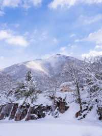 일본에 눈사람이 사는 마을이 있다는데?⛄️