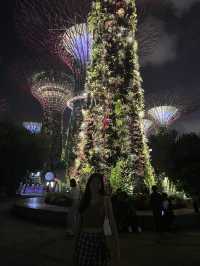 新加坡 | 必去睇夜景gardens by the bay