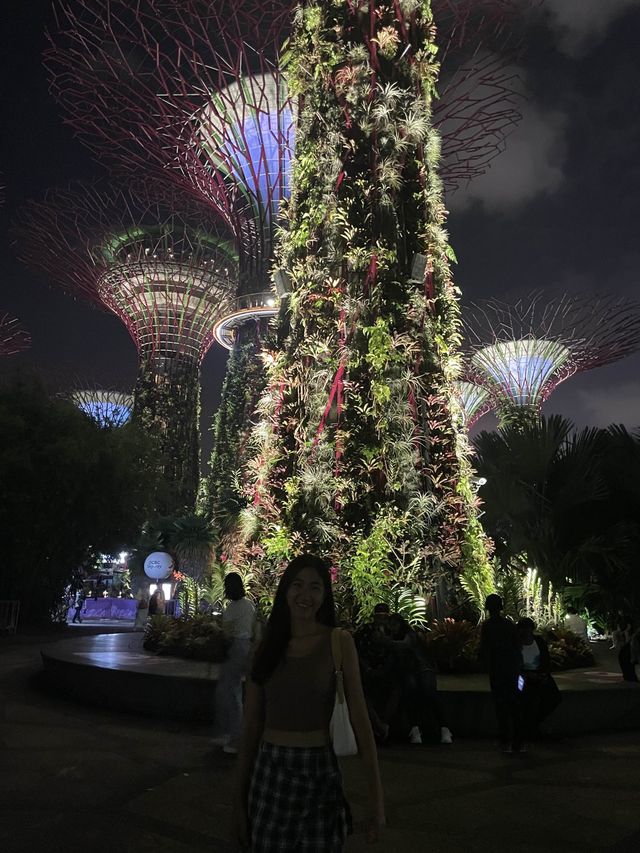 新加坡 | 必去睇夜景gardens by the bay
