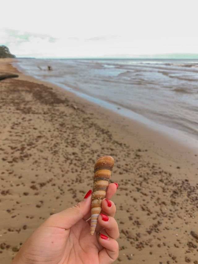 WHAT A CLEAN BEACH IT IS! ❤️