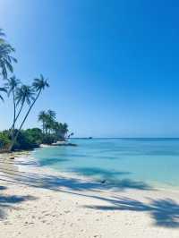 몰디브 현지인들도 인정한 아름다운 리조트🌴💙