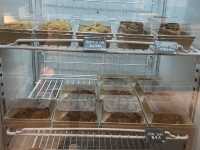 台北大安小巷弄的異國美味麵包店｜Purebread bakery 必點可頌麵包