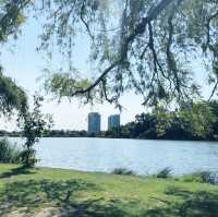 【トロント】無料でいける最大級の公園ハイパーク (High Park)