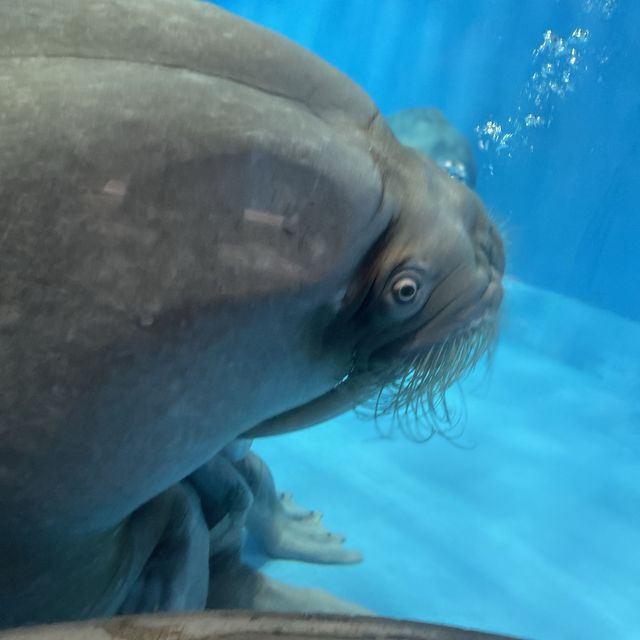 香港主題公園