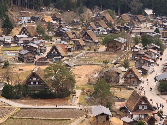 ➰白川鄉交通+遊覽分享🏔️