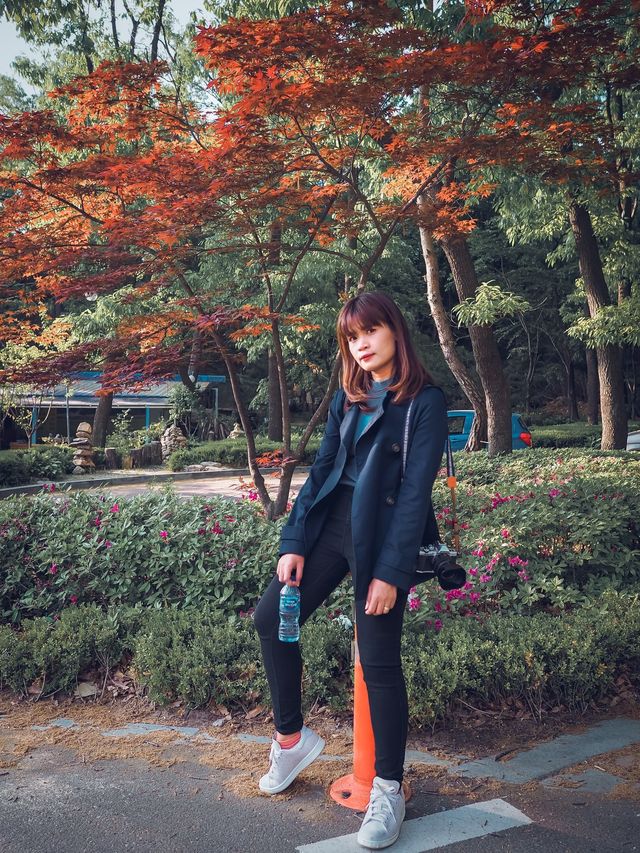 สวนศิลปะ Anyang Art Park 