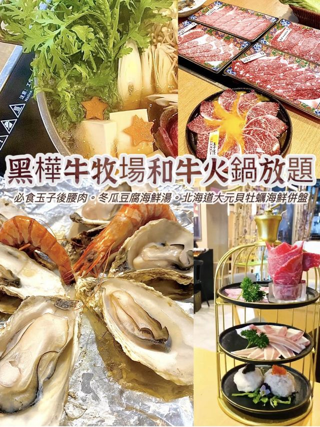 超高質日本黑樺牛火鍋放題