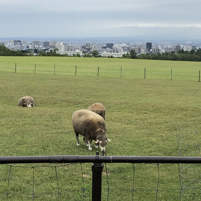 【クラーク像‼️】
