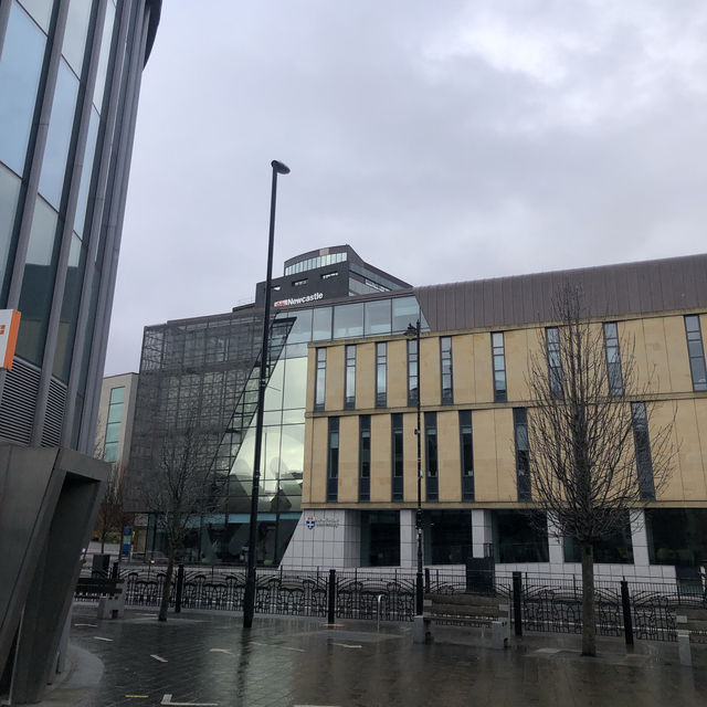 ✨Newcastle University✨