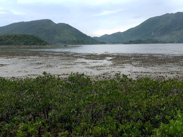 鹿頸自然之旅