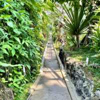 【静岡】熱川バナナワニ園🌼温泉を利用してるって✨