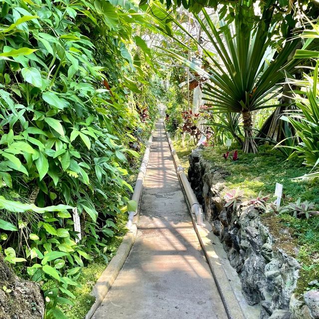 【静岡】熱川バナナワニ園🌼温泉を利用してるって✨