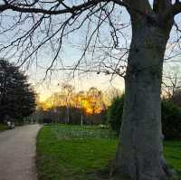 HYDE PARK - OASIS IN THE MIDDLE OF LONDON!