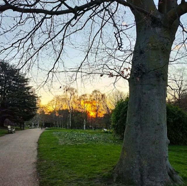 HYDE PARK - OASIS IN THE MIDDLE OF LONDON!