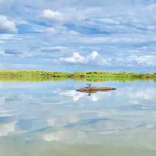 🌳 Nature in Africa - VAST Land 😍💚