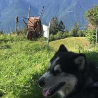 Hike in the Italian Alps! 