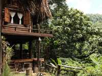 บ้านกอดลมห่มดอย จ.เชียงใหม่ ⛰🏡