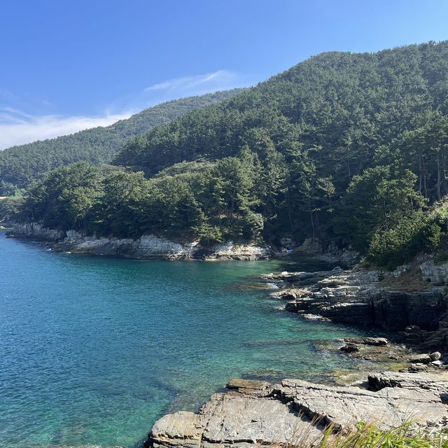거제 바람의언덕🍃
