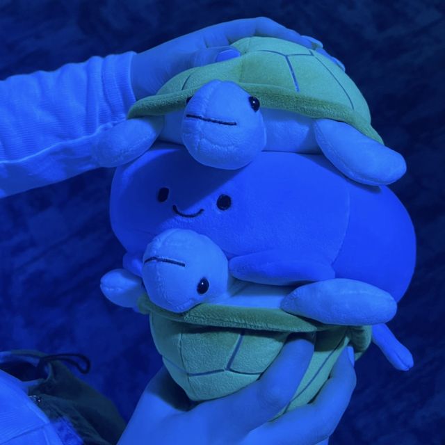 🇯🇵沖縄 DMMかりゆし水族館