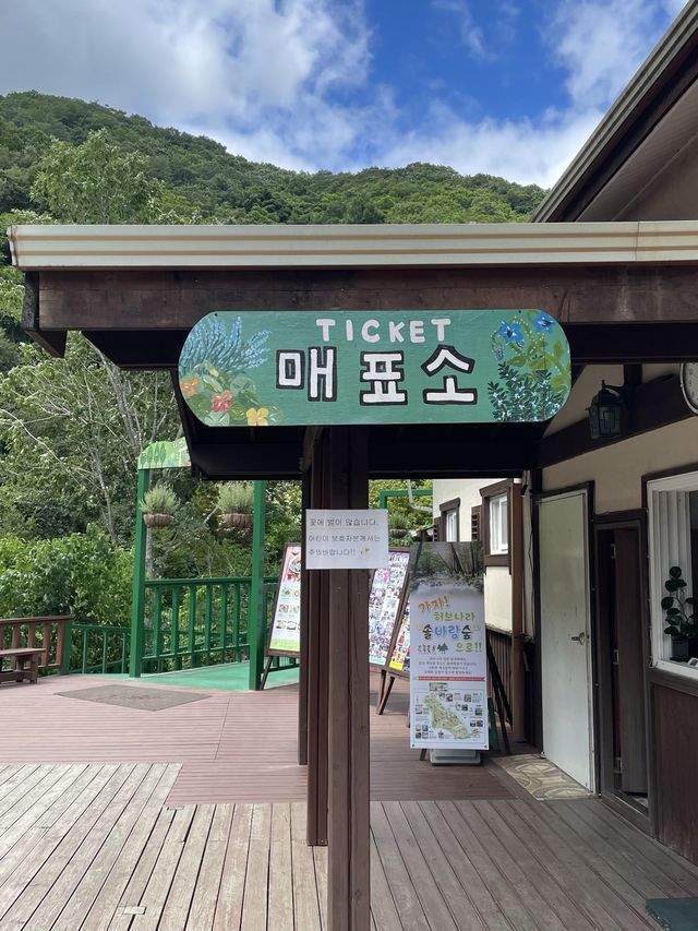 조금 걷기만 해도 기분이 좋아지는 곳 “허브나라농원”