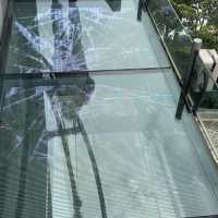 KL Tower Sky Walk and Sky Box Experience