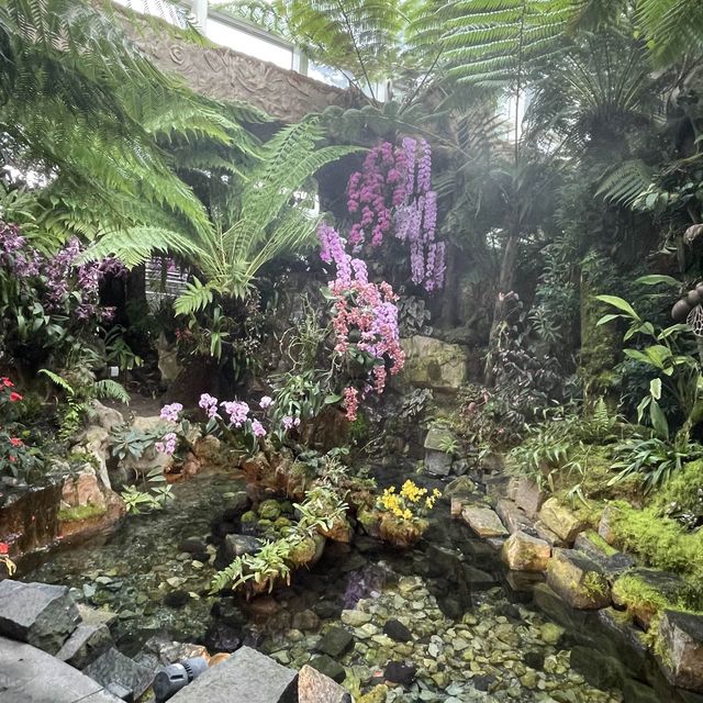 A treat to the senses@National Orchid Garden