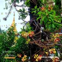 วัดลอยเคราะห์ [วัดเก่าแก่ล้านนา] - เชียงใหม่
