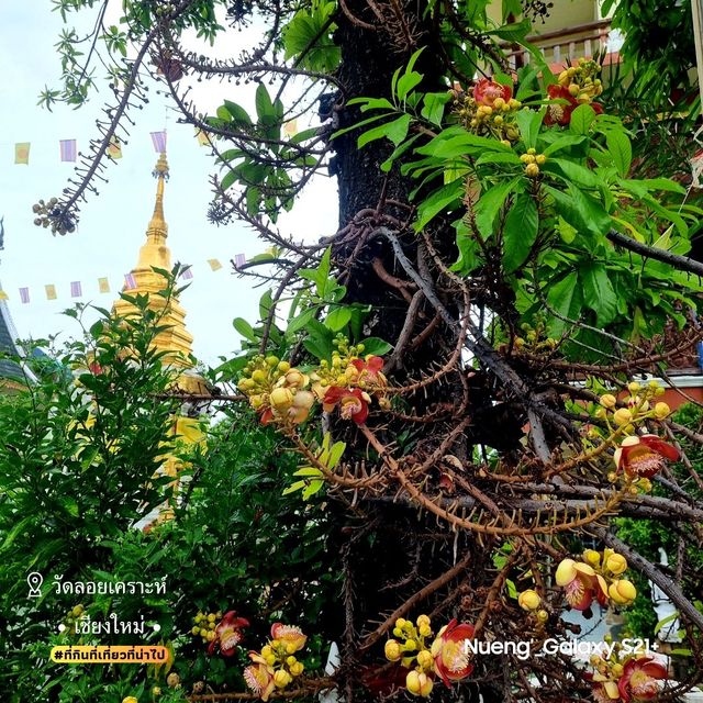 วัดลอยเคราะห์ [วัดเก่าแก่ล้านนา] - เชียงใหม่