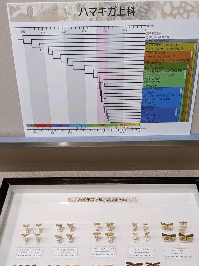 【大阪箕面】箕面の森と虫のミュージアム