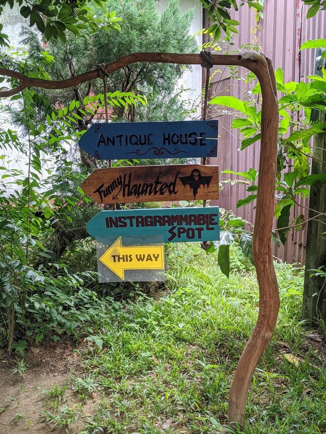Phantasy Farm ✨