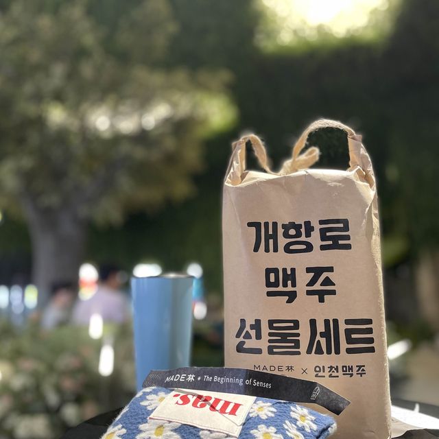 🌳120년 된 교회를 개조한 MADE林 태초의 숲🌳