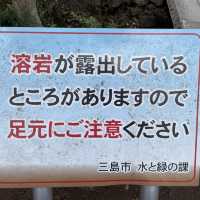 【静岡県】富士山を感じる水の都の「白滝公園」