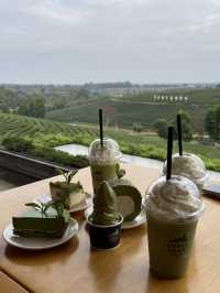 คาเฟ่วิวหลักล้านในไร่ชาฉุยฟง🍵🌱