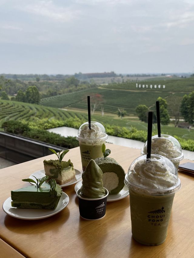 คาเฟ่วิวหลักล้านในไร่ชาฉุยฟง🍵🌱