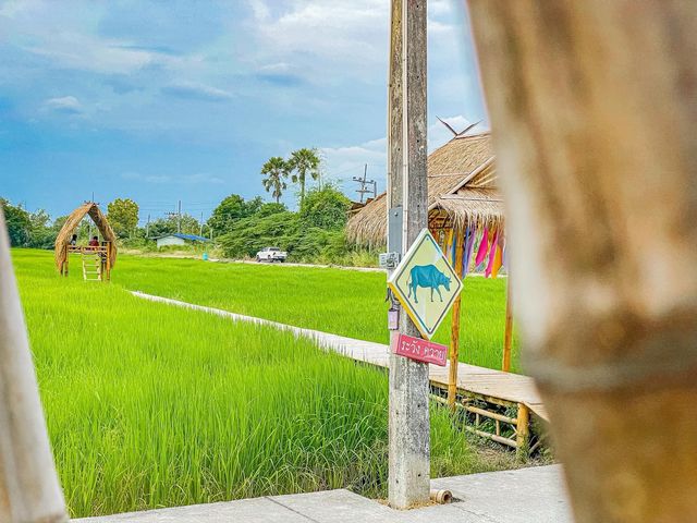 คลังนาปลาข้าว ✨ พานทอง จ.ชลบุรี