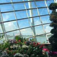 新加坡Flower dome：自然奇蹟的花園天堂