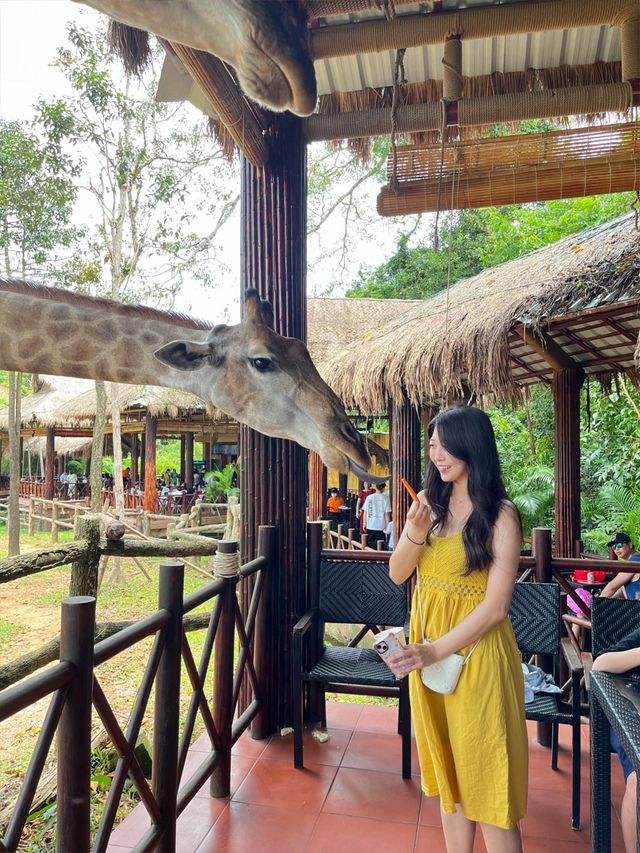 기린이랑 사진찍기📸 푸꾸옥 빈펄사파리🦒