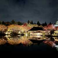 日式庭園點燈會