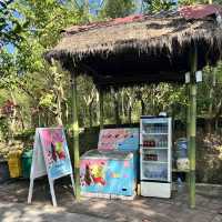 Must Visit Bali Swing!