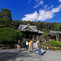 autumn vibes at Shuzenji Temple