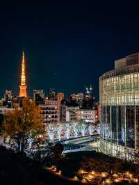 Winter illumination in Roppongi 