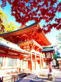 【埼玉県/武蔵一宮氷川神社】2023年行ってよかった！埼玉県の神社②