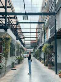 Darley Hotel Chiangmai