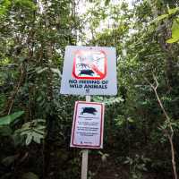 Nature Adventure in Singapore: Pulau Ubin