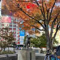 สุนัขผู้ซื่อสัตย์กับใบไม้แดง Shibuya, Tokyo