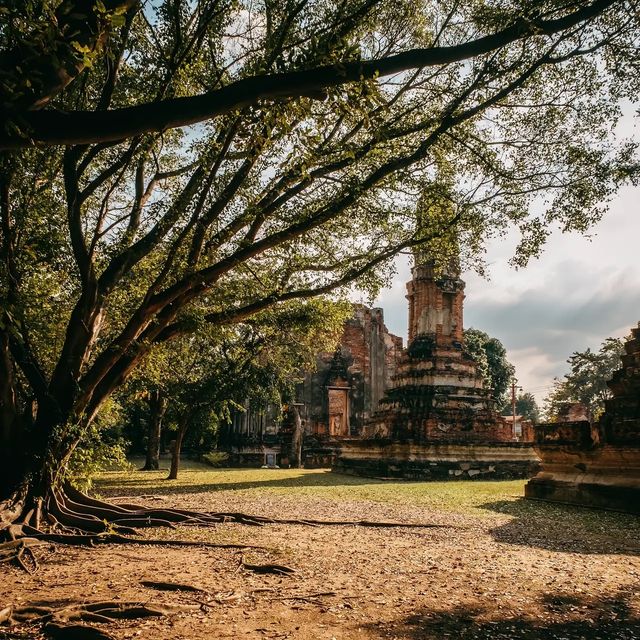 สะพาน ”ป่าดินสอ“