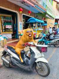 🧘‍♀สายมูไหว้ศาลหลักเมืองสงขลา Songkhla City Pilla