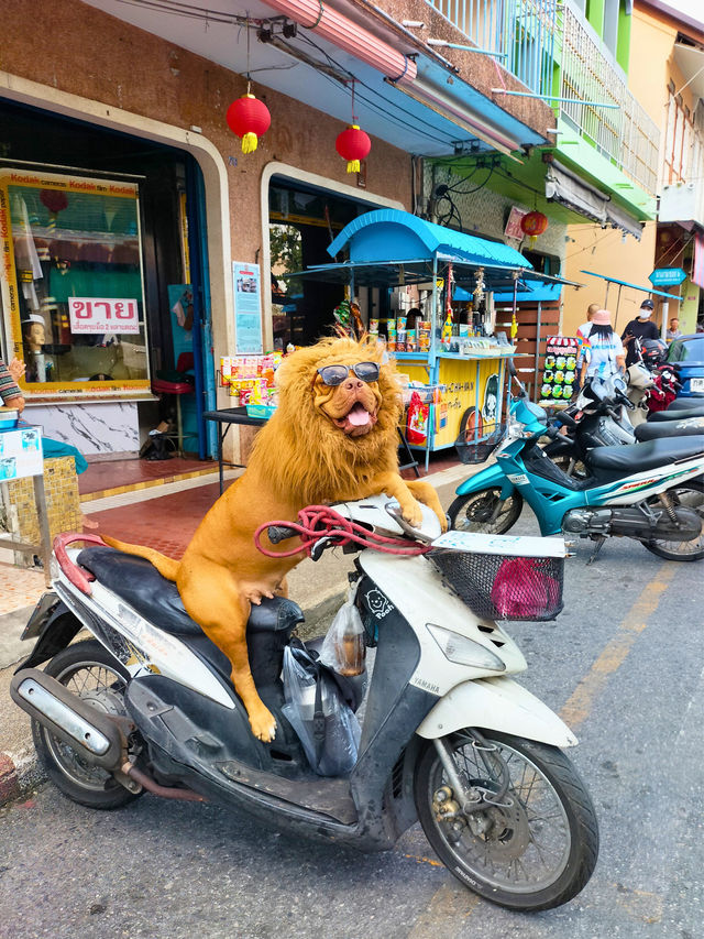 🧘‍♀สายมูไหว้ศาลหลักเมืองสงขลา Songkhla City Pilla